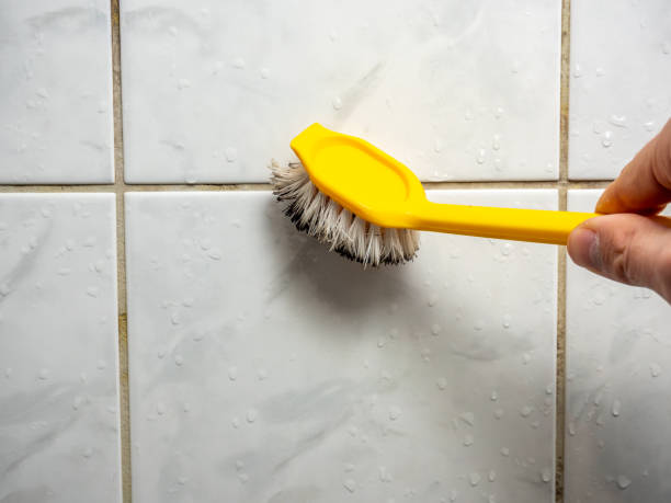 Best Local Mold Removal Service  in Levittown, PA