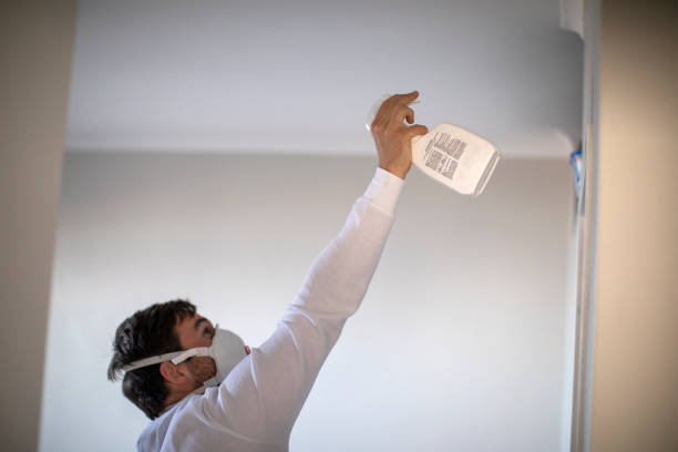 Office Mold Removal Services in Levittown, PA