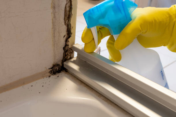 Best Mold Cleaning Services  in Levittown, PA