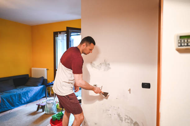 Best Mold Cleaning Services  in Levittown, PA
