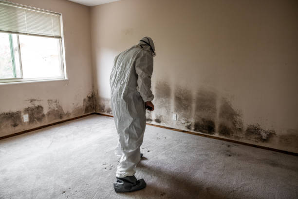 Best Residential Mold Removal  in Levittown, PA